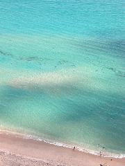 Swimming With Sharks