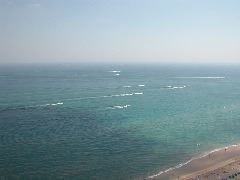 All Boats Lead To Palm (Beach)